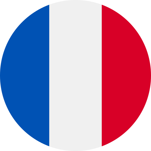 /assets/icons/lang/fr.png